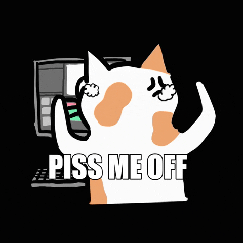 bowlcut_life angry cats meow pissed GIF
