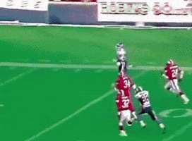 Toronto GIF