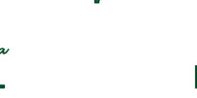 NATURAL BRASIL Sticker