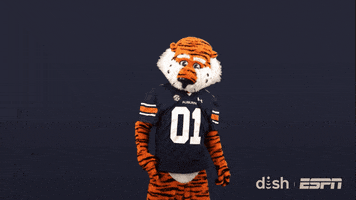College Football Sport GIF by DISH
