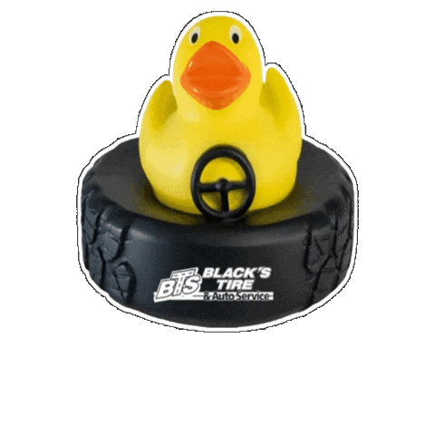 South Carolina Car Sticker by Blacks Tire and Auto