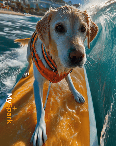 Dog GIF