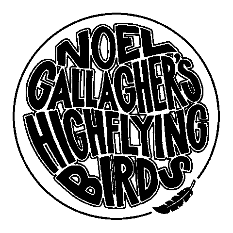 Rock N Roll Sticker by Noel Gallagher