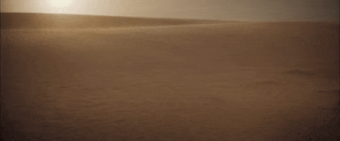 Denis Villeneuve Desert GIF by TIFF