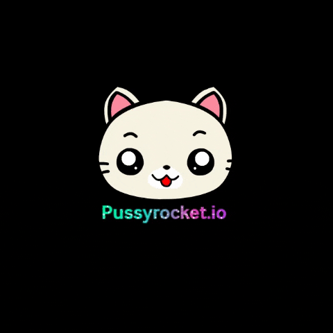 PussyRocket GIF