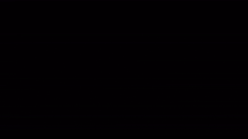 VindeliciAdvisors GIF