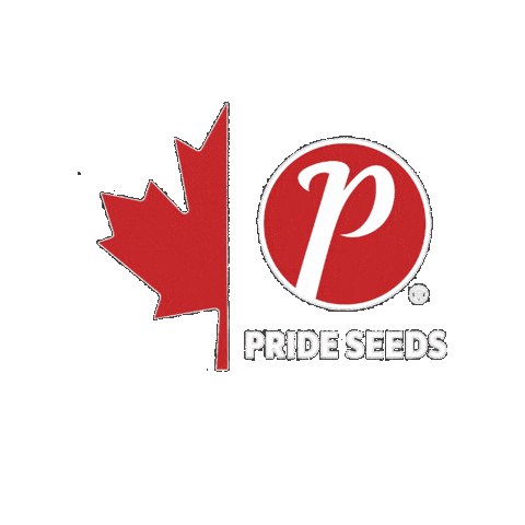 PRIDE Seeds Sticker