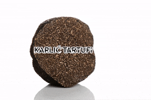 karlictartufi truffles tartufi karlic GIF