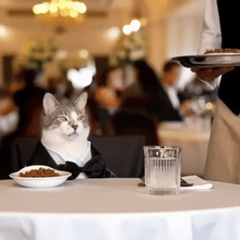 Cat Mac GIF