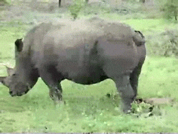 [Слика: giphy.gif?cid=3640f6095c43c231377a525432d6bdf8]