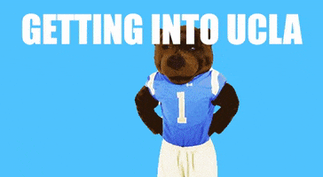 Uclabound GIF by UCLA