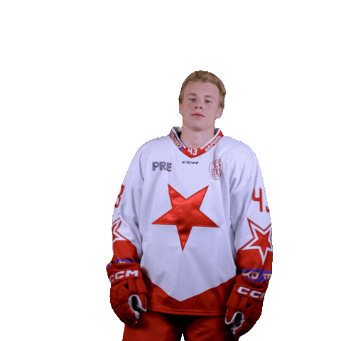 Hcslavia Sticker by HC SLAVIA PRAHA