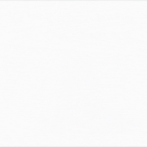 New York Giants Nfl GIF