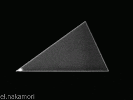 geometry GIF