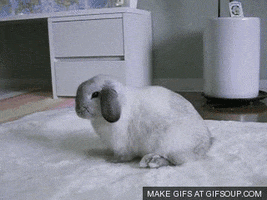 200.gif