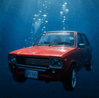 Redcar GIF