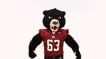 Flex Mascots GIF by Lenoir-Rhyne University