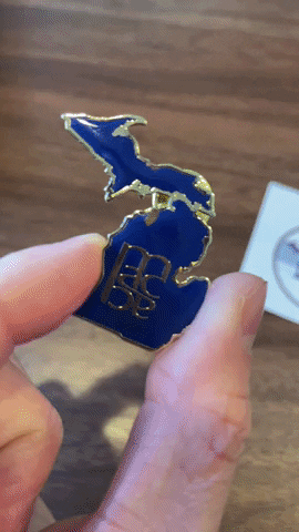 StriveScan GIF