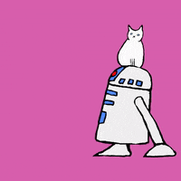 200.gif?cid=fc005b08a5c31d58ea0e19134f67496c3122fcc81dad61e0&rid=200.gif&ct=g