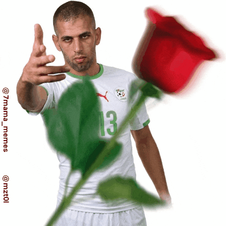 Algeria GIF