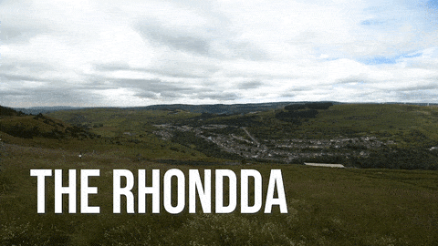 Rhondda meme gif