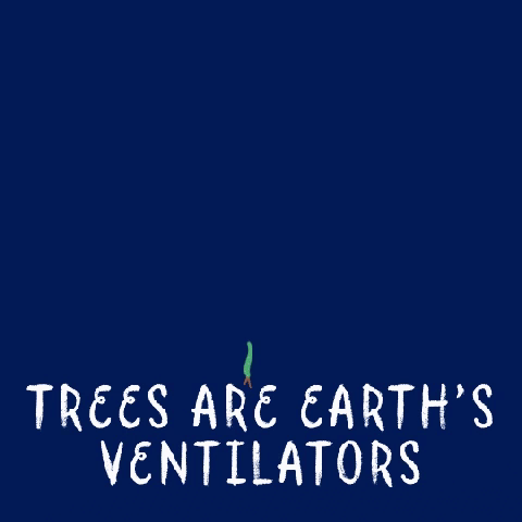 Trees Are Earth's Ventilators