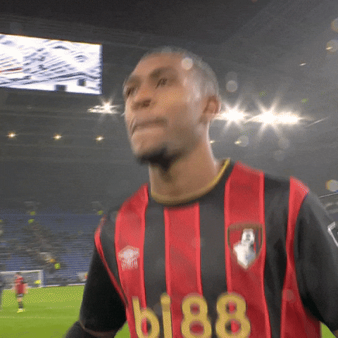 Happy Premier League GIF by AFC Bournemouth