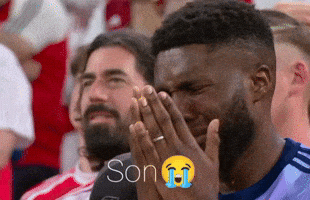 Son Arsenal GIF