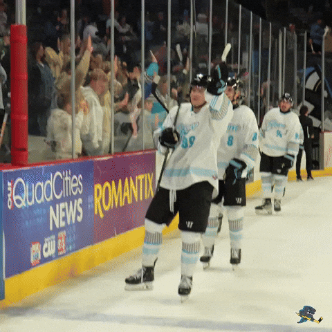 Celebrate Hockey Players GIF by Quad City Storm