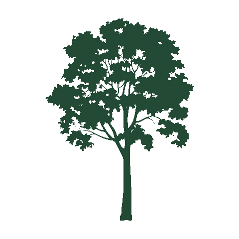 Green Sticker