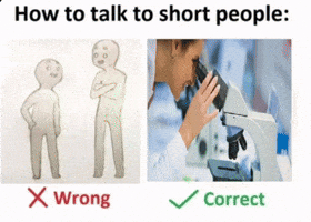 How To Talk To Small People GIF