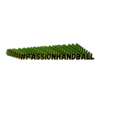 Comité Handball Aveyron Sticker