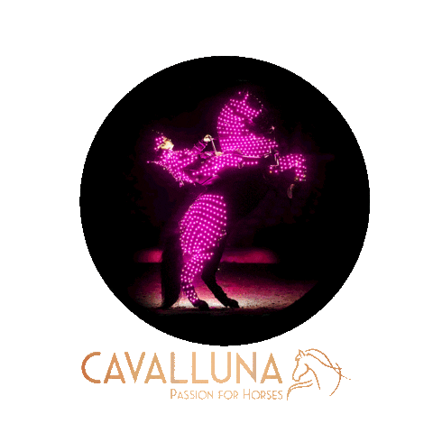 Ahoy Rotterdam Sticker