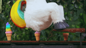 malpractice rainbow ice cream unicorn poop GIF