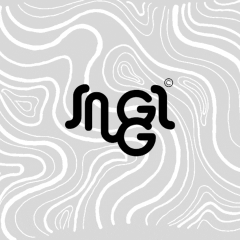 SnuggsEgypt GIF