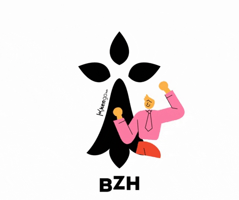 Bzh Breton GIF by Kengobzh