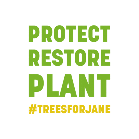 Jane Goodall Institute USA Sticker