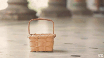 hiblueword #cutedog #puppy #dogsinaction GIF