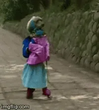 walking dog GIF