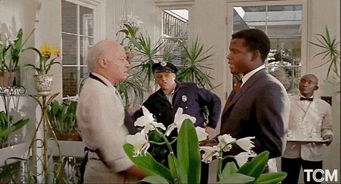 Sidney Poitier Drama GIF by Turner Classic Movies - Find & Share on GIPHY