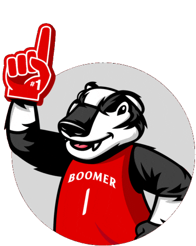 Team Spirit Go Badgers Sticker by Brock University