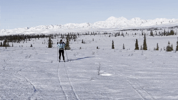 Happy GIF