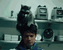 Animated GIF