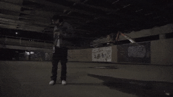 009fly GIF