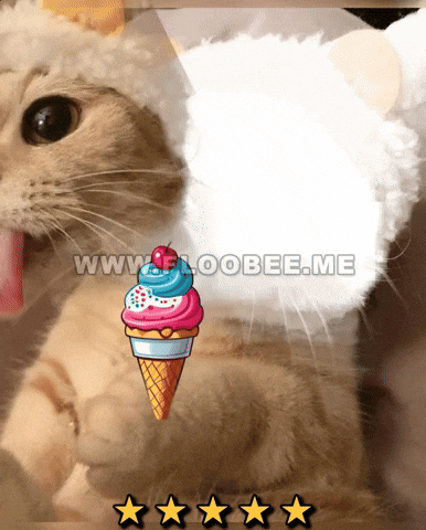 Cats GIF