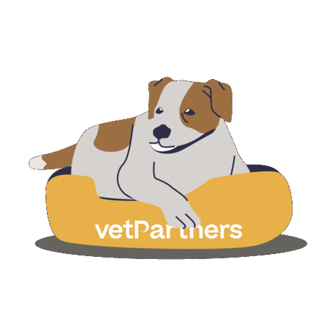 Sleepy Dog Sticker by VetPartners
