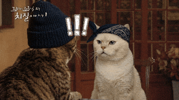 꼬꼬치 GIF