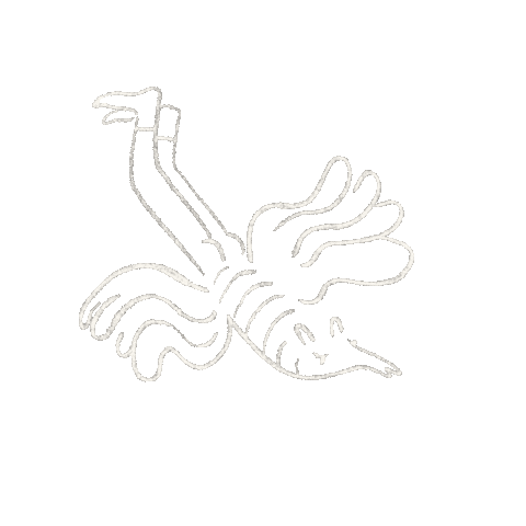 Animated Sticker