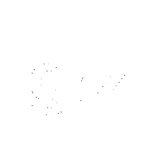 Grizzly Agency Sticker