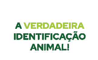 Boi Vaca Sticker by Primaza